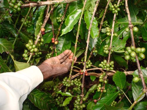Naar de oorsprong: Oeganda (deel 1)