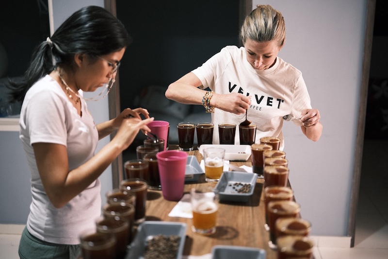 cupping Pitalito